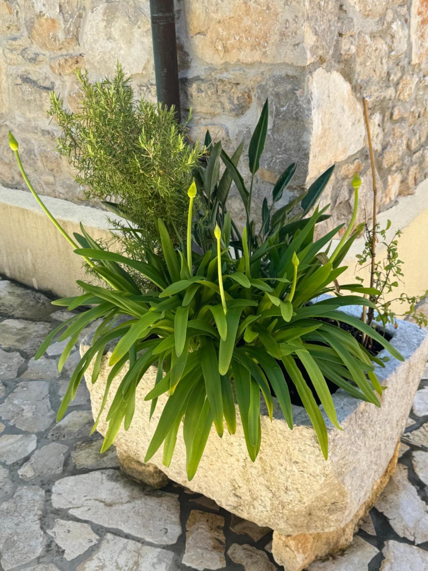 Mediterranes Ferienhaus M. Terrasse ヴェリ・ロシニュ エクステリア 写真